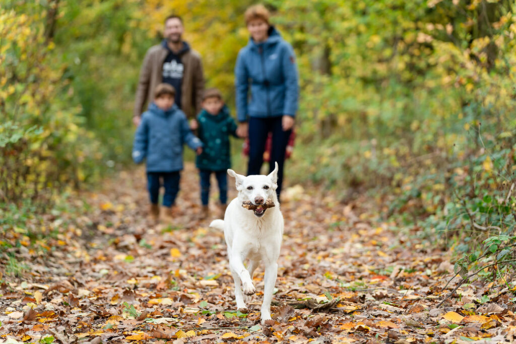 Fotografin Saarbrücken bei Familienshooting mit Hund