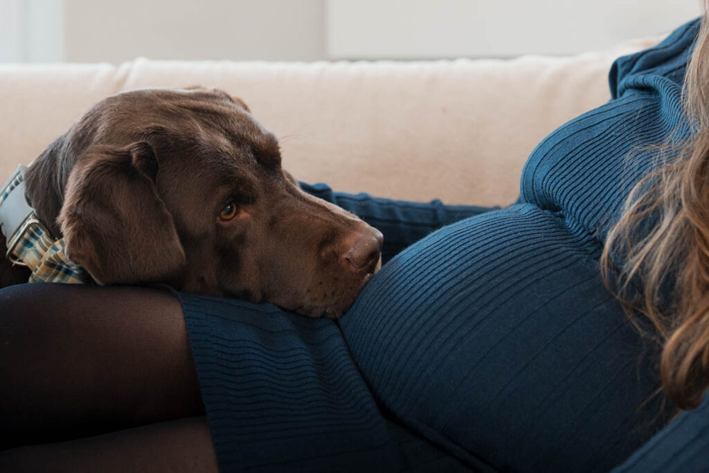 Hund mit schwangerer Frau